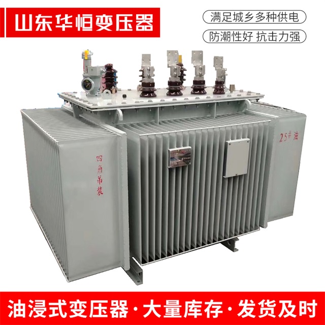 S13-10000/35揭阳揭阳揭阳电力变压器厂家