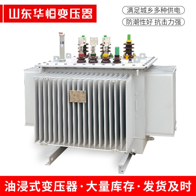S13-10000/35揭阳揭阳揭阳电力变压器